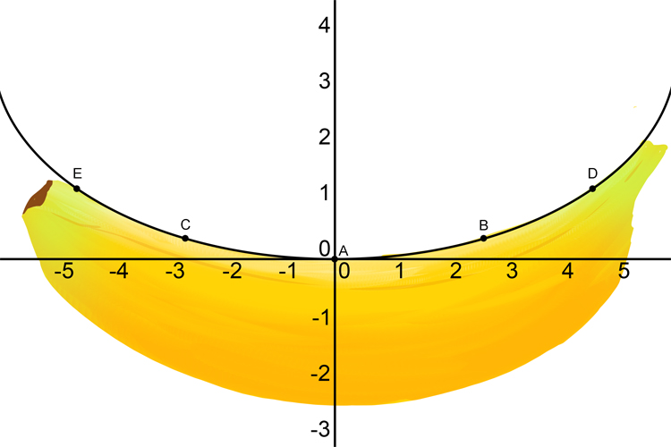 Marketing Concept | Banana Curves - The Brand Hopper
