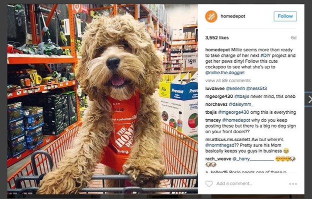 Marketing Strategies Of Home Depot - The Brand Hopper