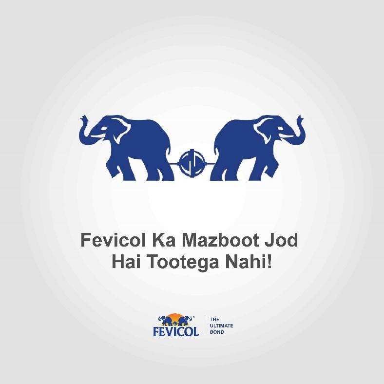 Fevicol | The Brand Hopper