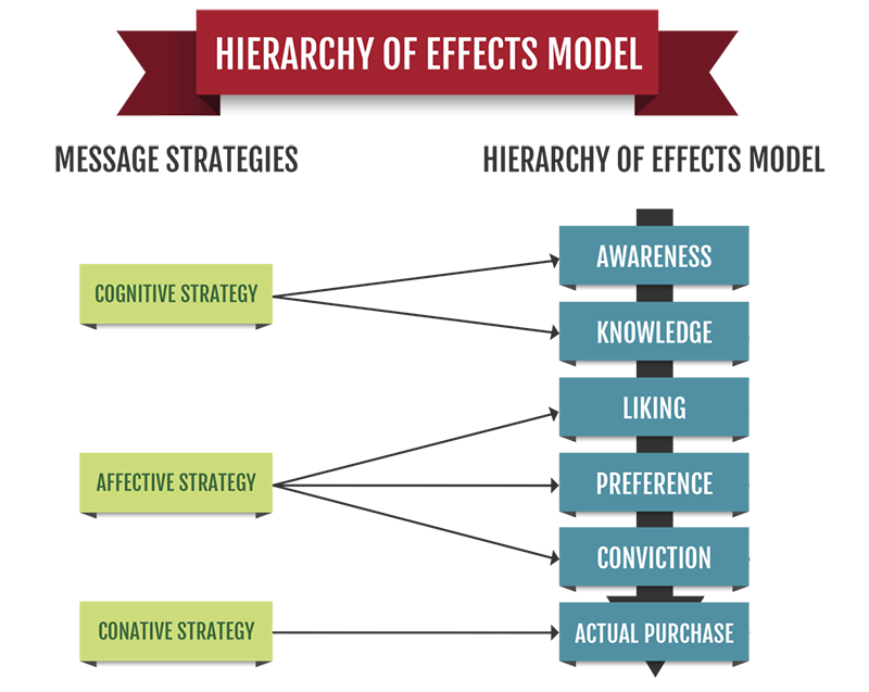 Hierarchy of Effects | The Brand Hopper