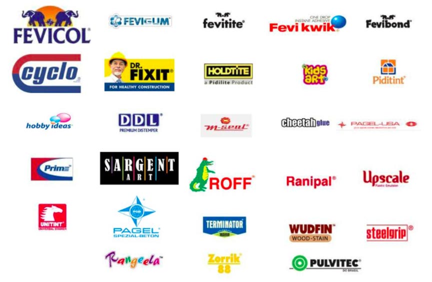 Pidilite Brands | The Brand Hopper