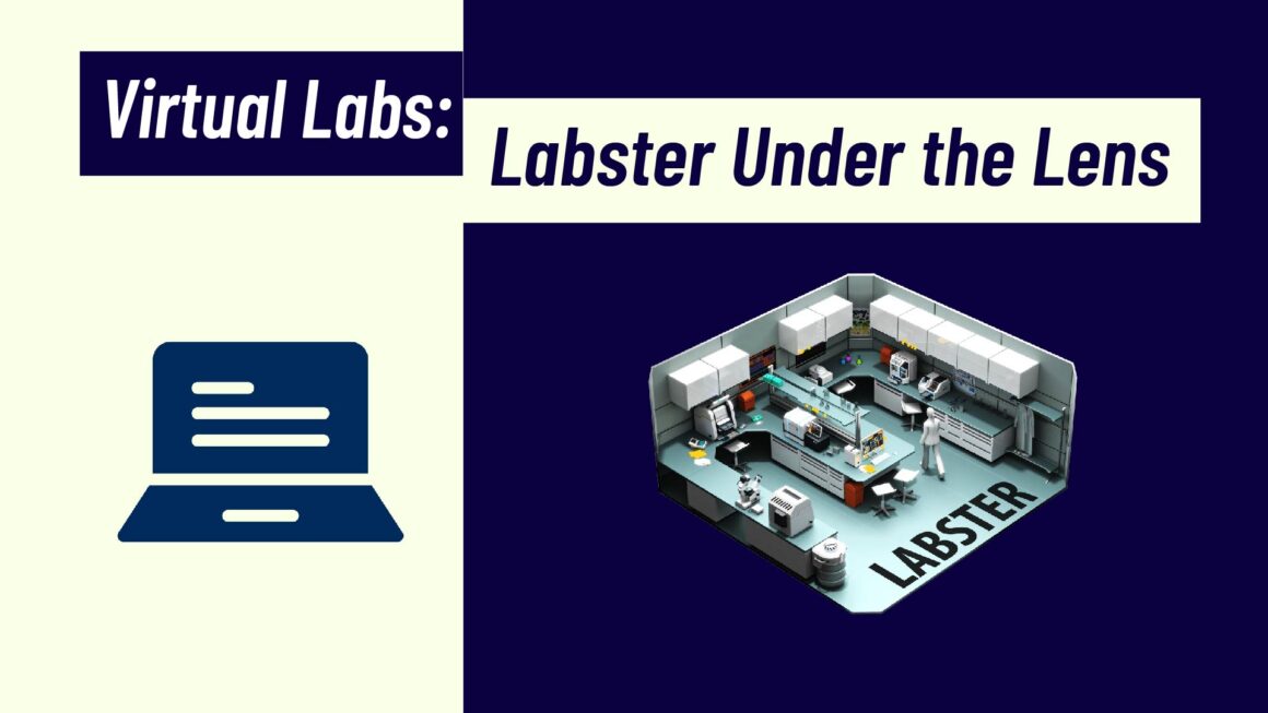 Revenue Model of Labster