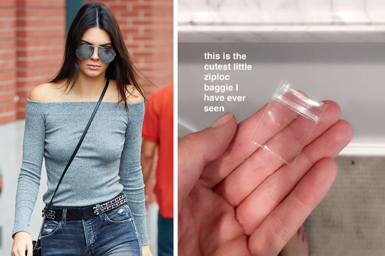 Celebrity Association – Ziploc & Kendall Jenner (Viral Social Moment)