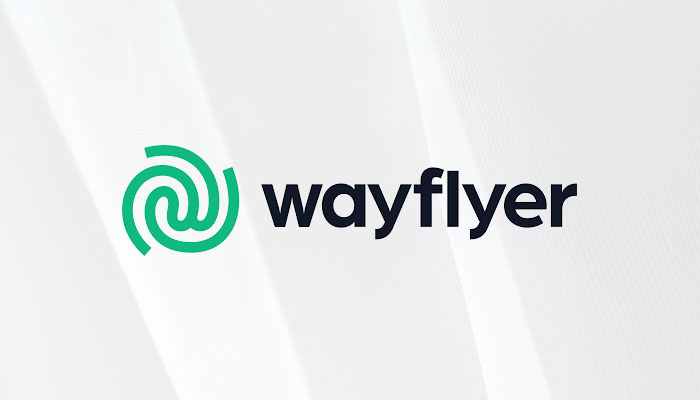 Wayflyer Business Model