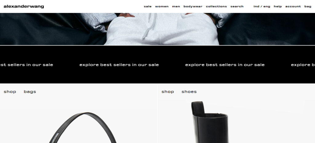 Alexander Wang Website