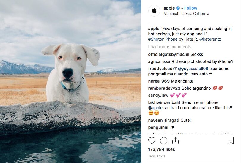 Apple's #Shotoniphone is one of the biggest User Generated Campaign ever by a brand