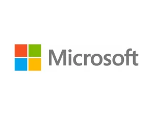 Microsoft - Oracle's Competitors