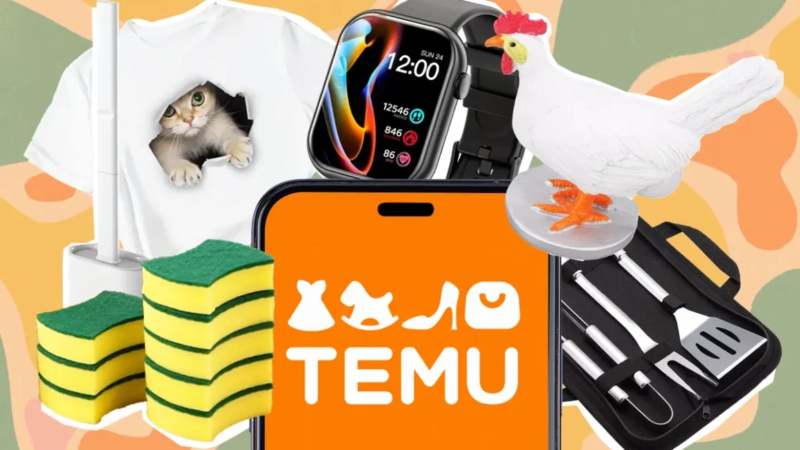 Why is Temu so cheap