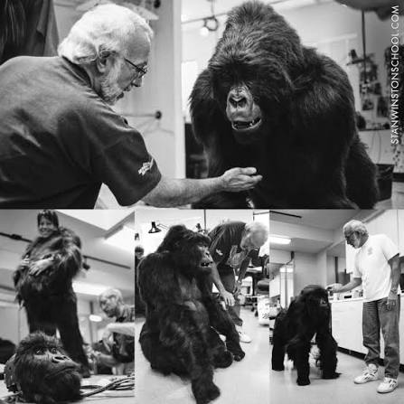 Cadbury Gorilla ad behind the scenes production