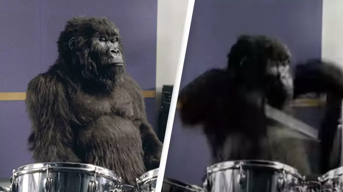 A Case Study on Cadbury’s Gorilla Brand Campaign