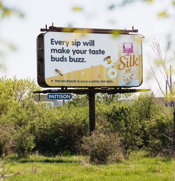 Silk's out of home becomes a home for bees