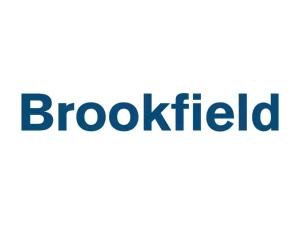 Brookfield Asset Management - Blackstone Competitors