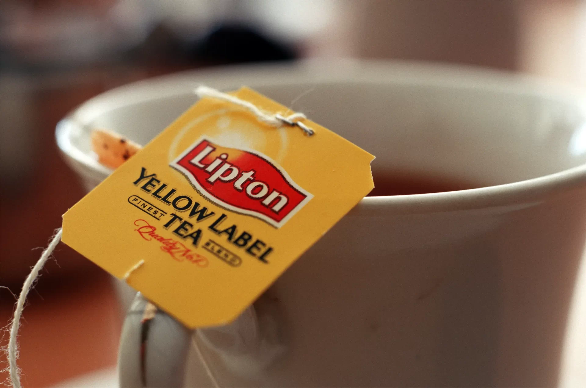 Lipton Marketing