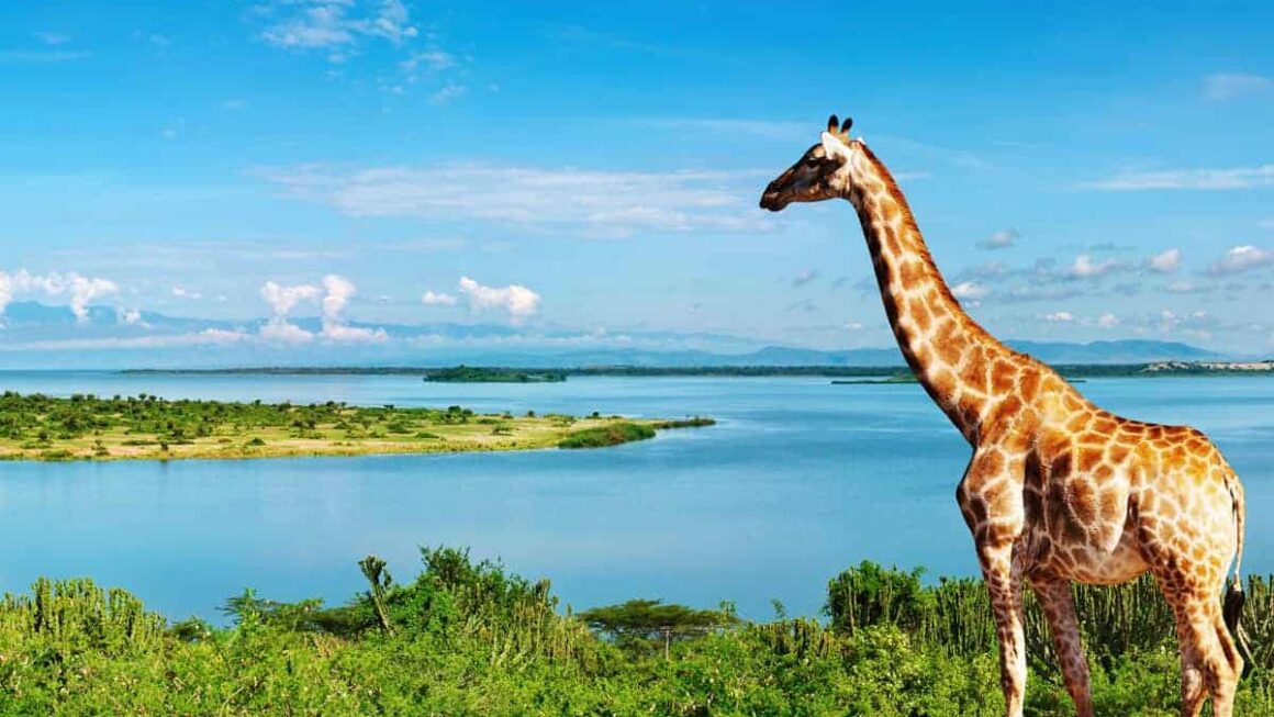 Discover Uganda: The Land of Wonders and Warmth