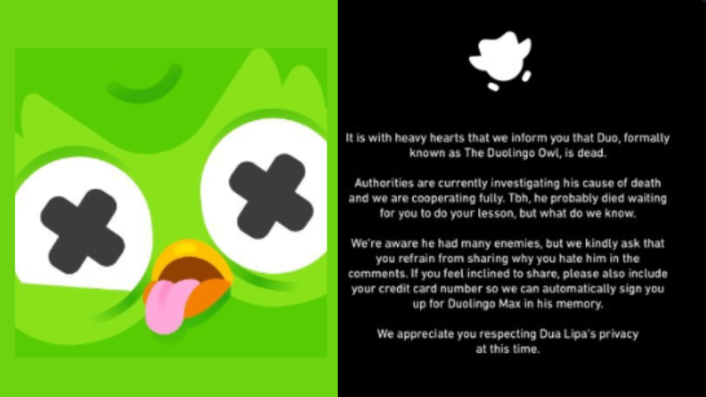 Duo Owl Death Message