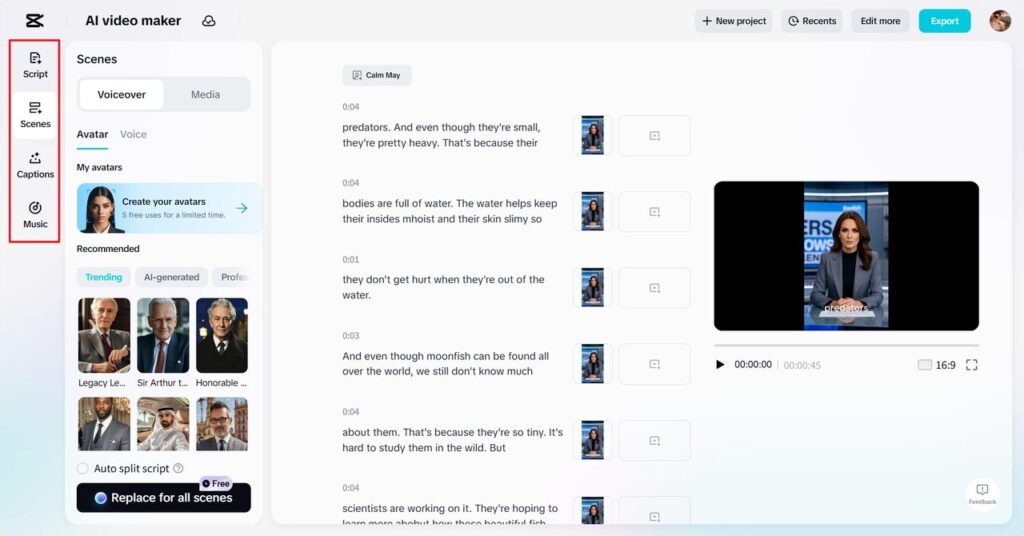 visualizations using AI tools and custom audio