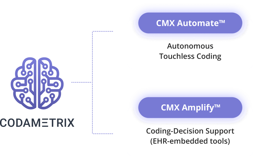 Codametrix business model
