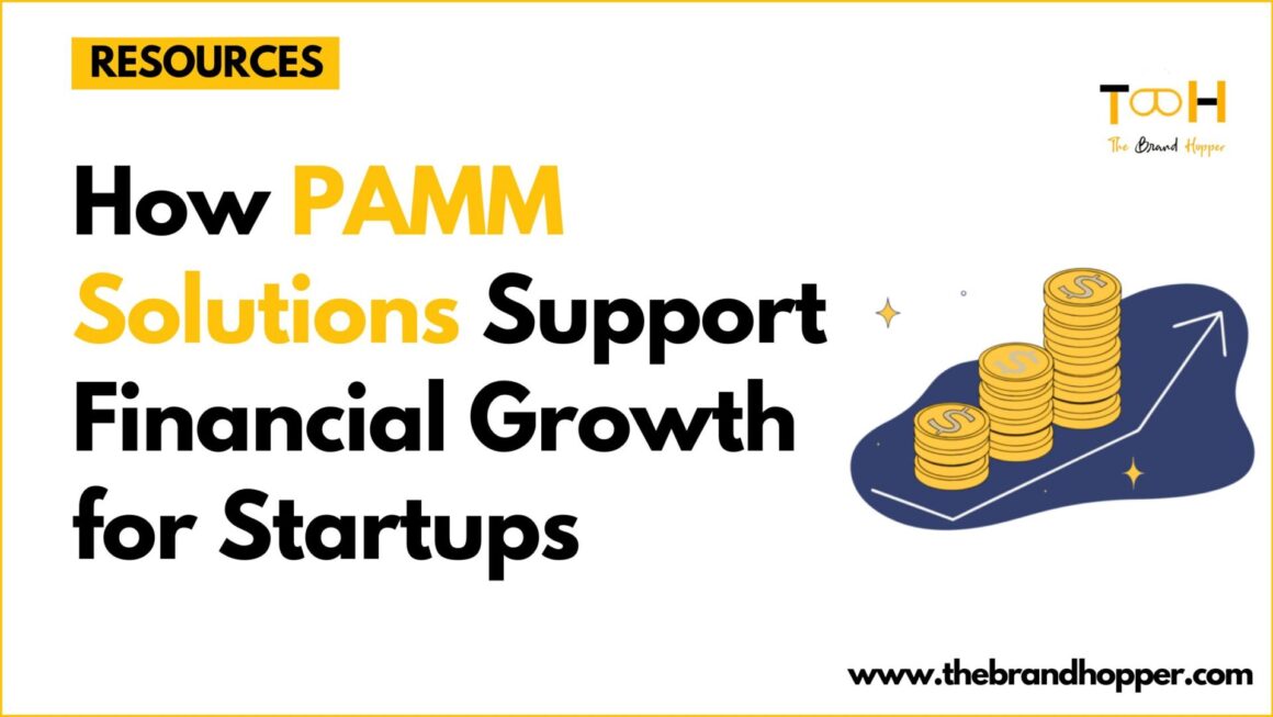How PAMM Solutions Support Financial Growth for Startups
