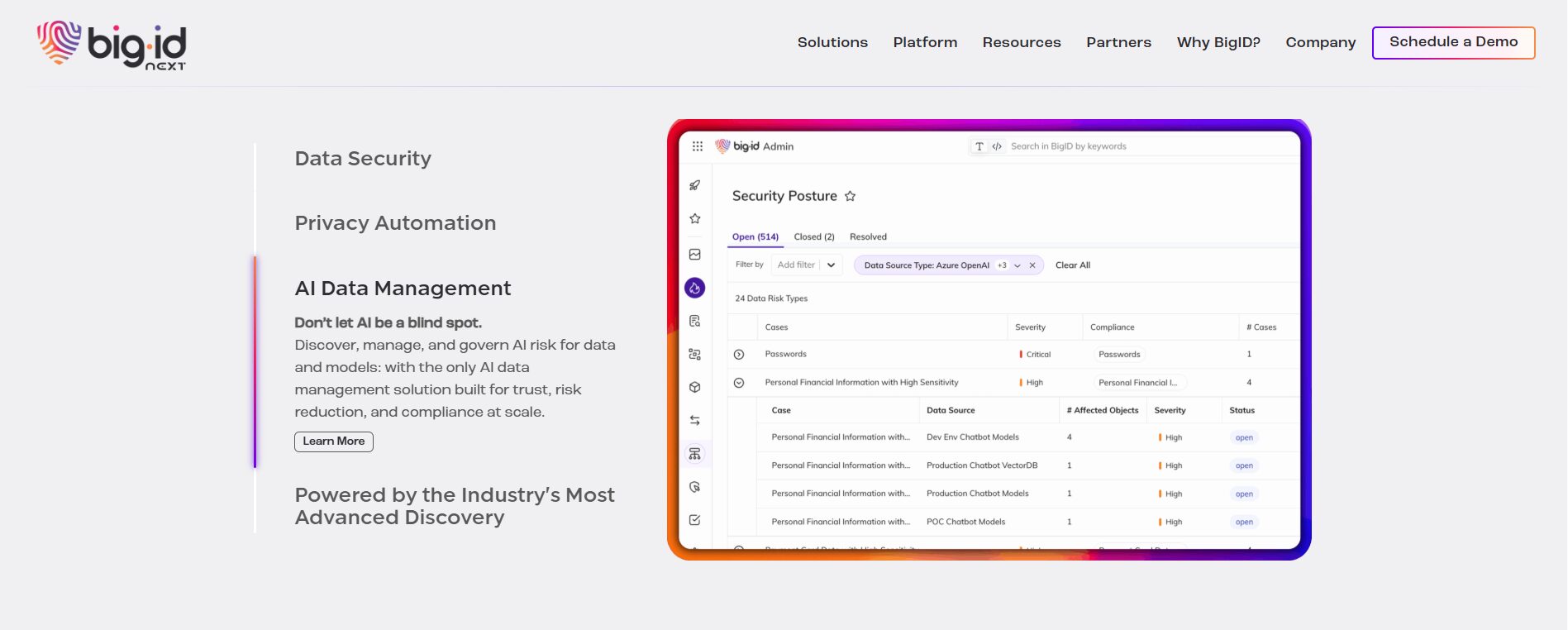 AI Data Management Tool by BigID