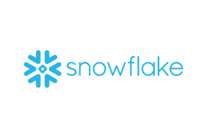 Snowflake - Palantir's Competitors