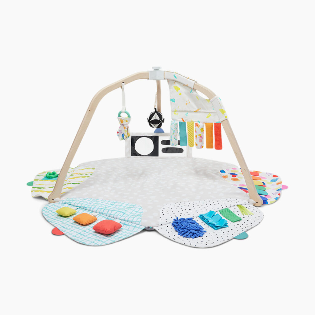 The Play Gym