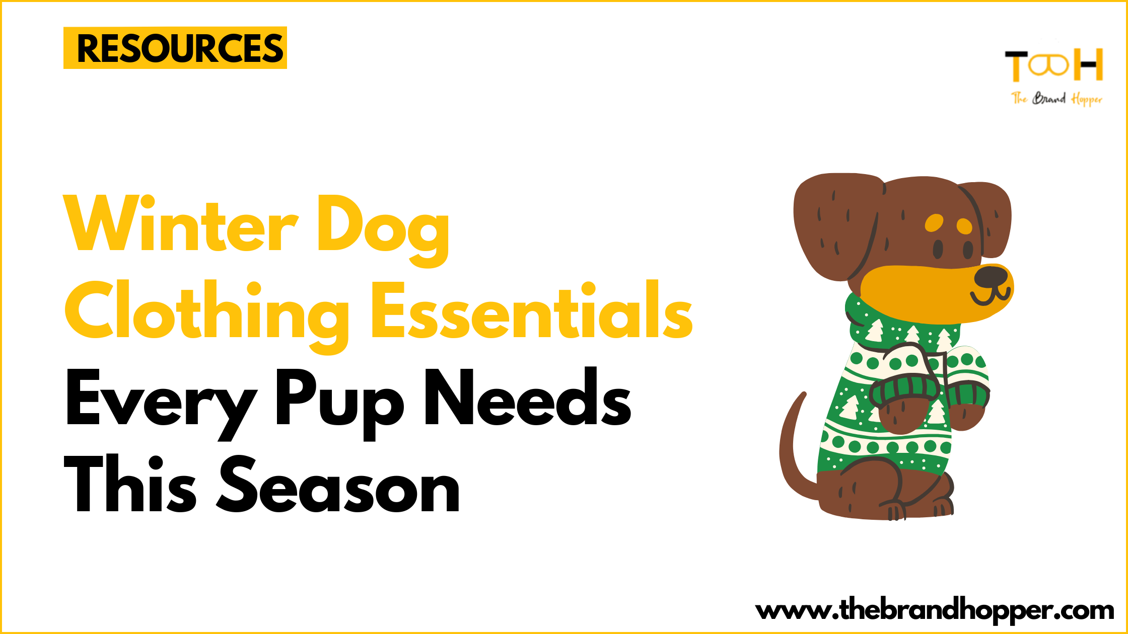 Winter Dog Clothing Essentials