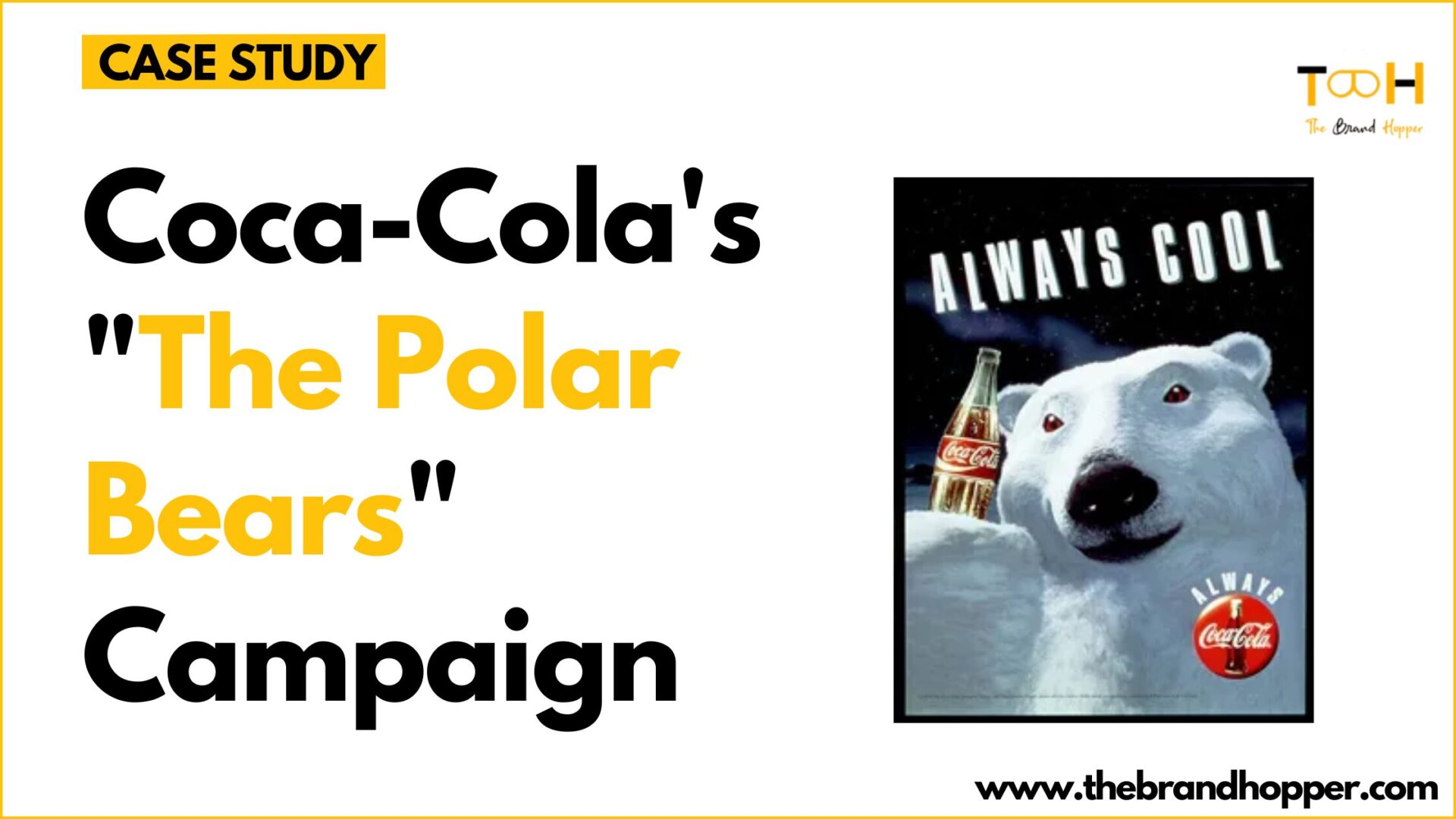 THE POLAR BEARS CAMPAIGN