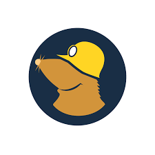 Mullvad Browser