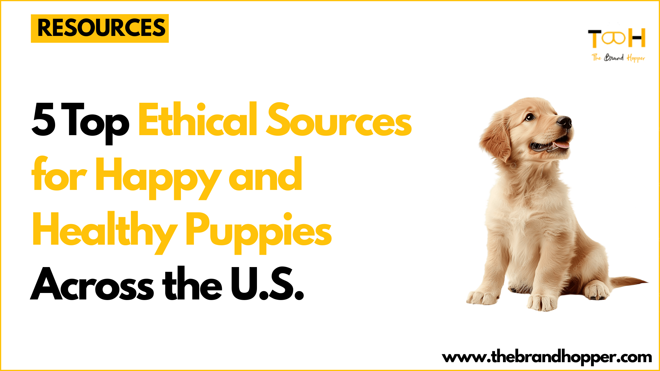 Happy and Healthy Puppies