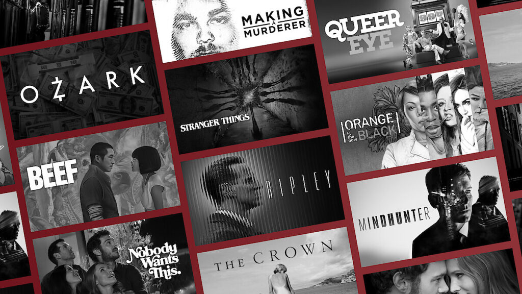 Netflix Content Library