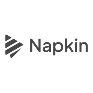 Napkin AI - Best Infographic Design Tools