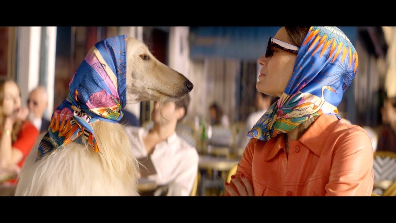 youtube placeholder image