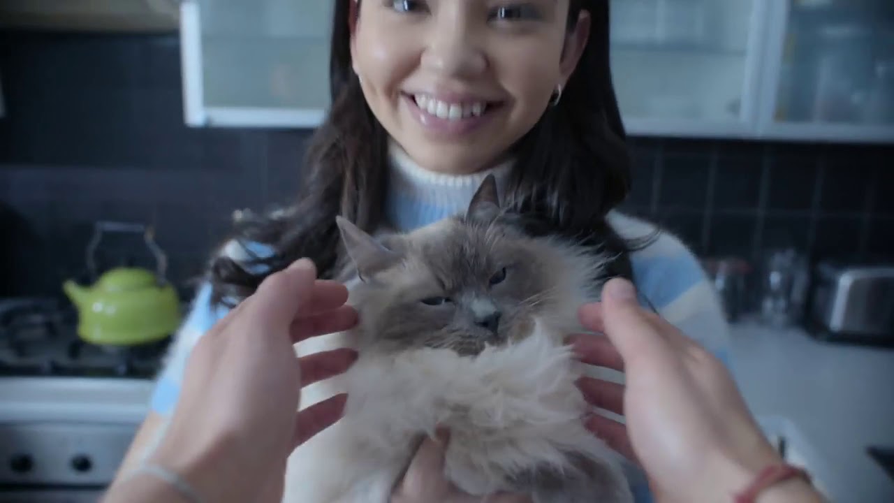 youtube placeholder image