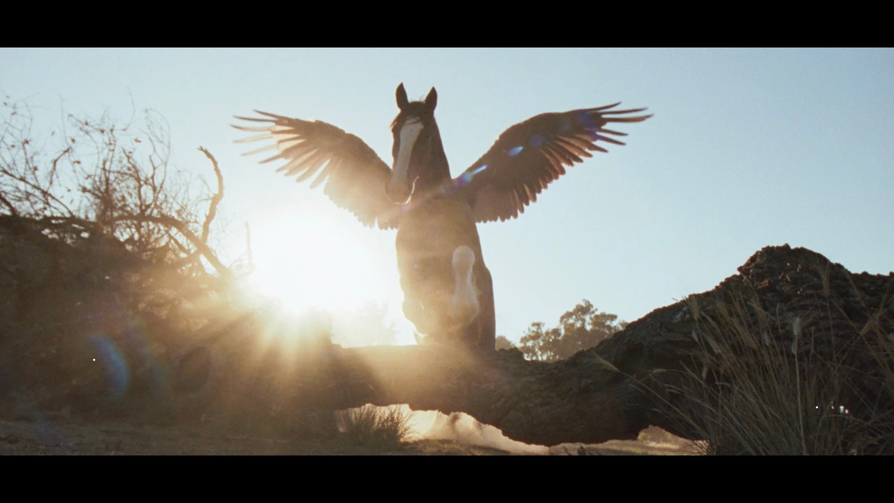 youtube placeholder image