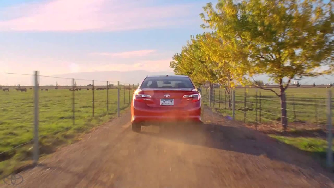 youtube placeholder image