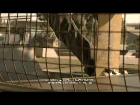 youtube placeholder image