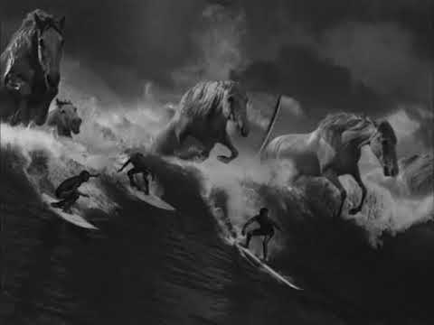 youtube placeholder image